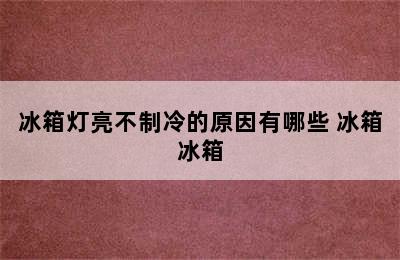 冰箱灯亮不制冷的原因有哪些 冰箱冰箱